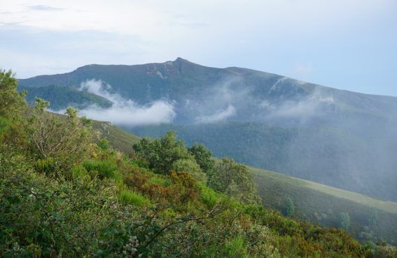 Inmersión en el corazón de  la naturaleza:  Os Ancares 11-15 octubre 2023