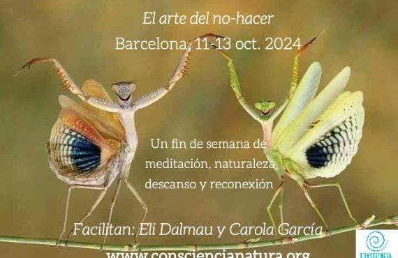 Retiro en Barcelona del 11 al 13 de octubre 2024.  Mindfulness: el arte del no-hacer