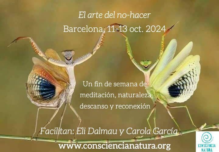 Retiro en Barcelona del 11 al 13 de octubre 2024.  Mindfulness: el arte del no-hacer
