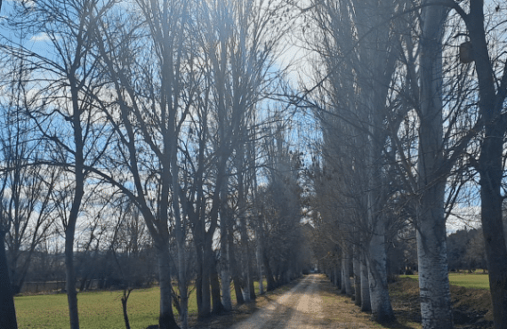 Retiro de 5 días de silencio en Soria del 4 al 9 de diciembre 2025. Vivirlo todo