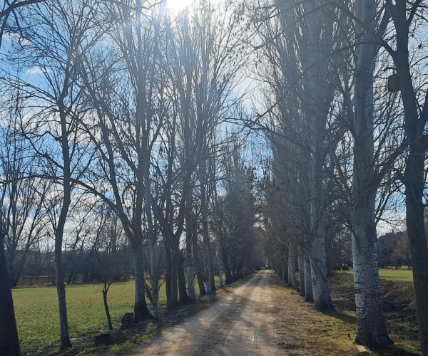 Retiro de 5 días de silencio en Soria del 4 al 9 de diciembre 2025. Vivirlo todo