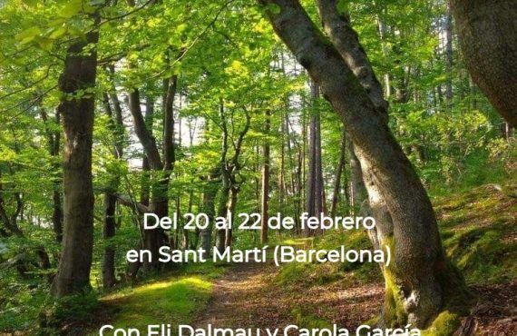 Retiro en Barcelona del 20 al 22 de febrero 2026. Interconexión: la fortaleza de reconectar contigo y con todo