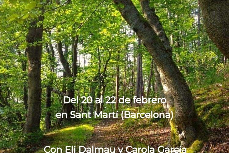 Retiro en Barcelona del 20 al 22 de febrero 2026. Interconexión: la fortaleza de reconectar contigo y con todo